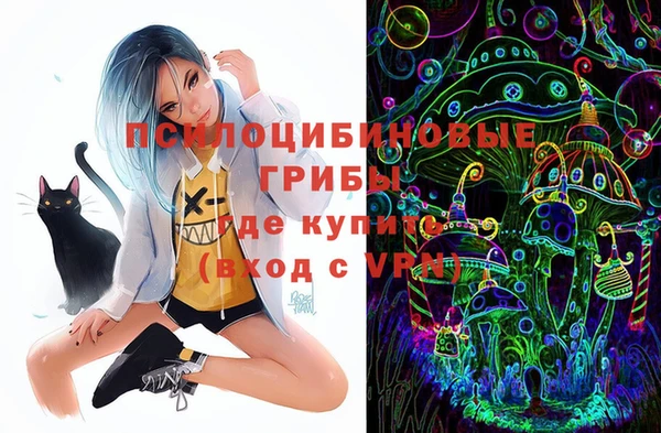 МДМА Белокуриха
