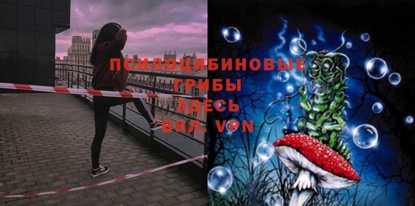 PSILOCYBIN Балабаново