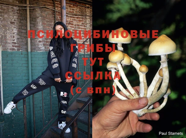 МДМА Белокуриха