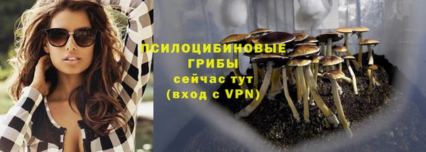 гидропоника Белоозёрский