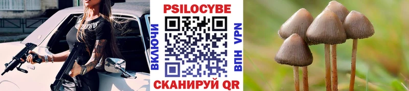 закладка Реутов Псилоцибиновые грибы ЛСД